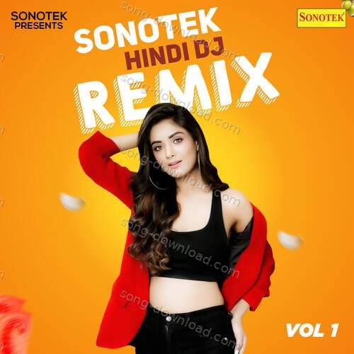 Sonotek Hindi DJ Remix Vol 1 Devi MP3 Download